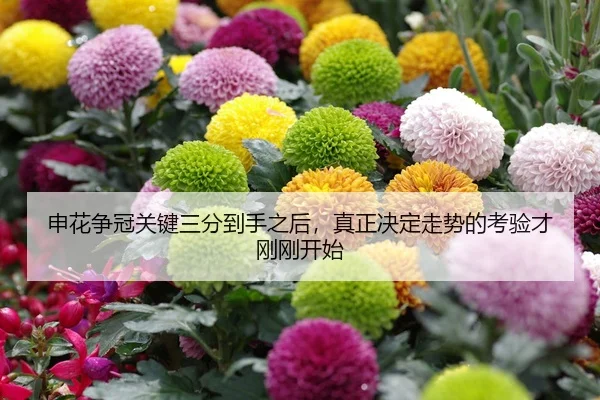 申花争冠关键三分到手之后，真正决定走势的考验才刚刚开始